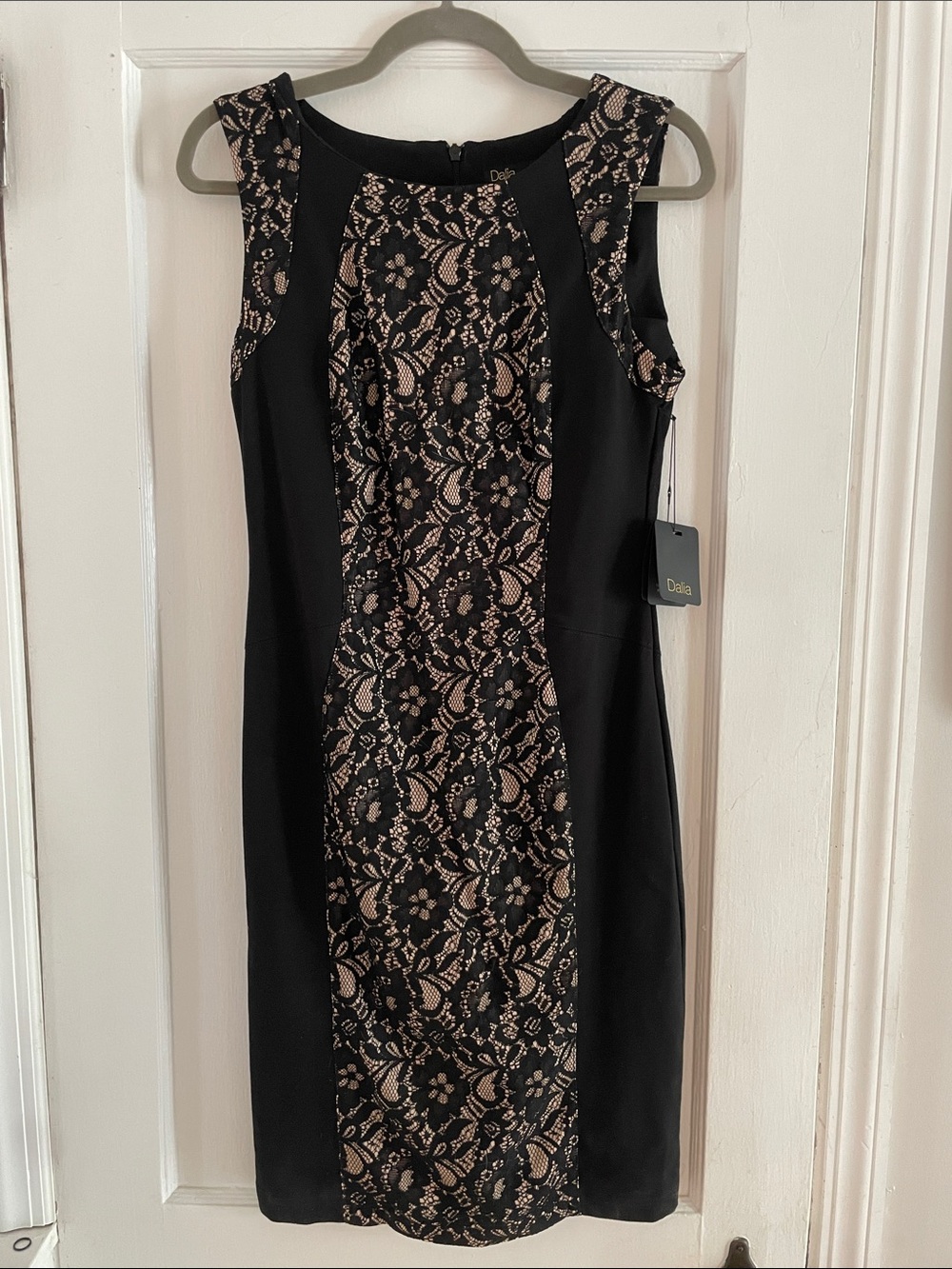 Dalia NWT Size 6 Black & Nude Lace Sheath Dress